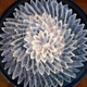 Illustration for article titled How the puffer fish gets you high, zombifies you, and kills you
